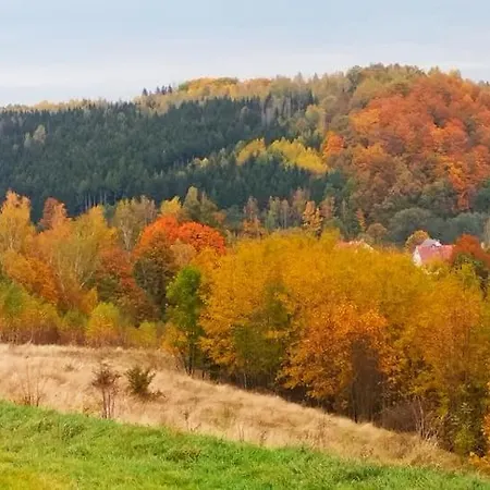 度假居 Przytulny W Gorach-lewin Klodzki Blisko Kudowy- Zdroj
