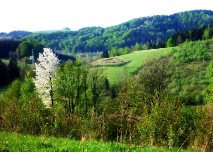 W Gorach Kolo Kudowy Zdroj Ferienhaus Lewin Klodzki