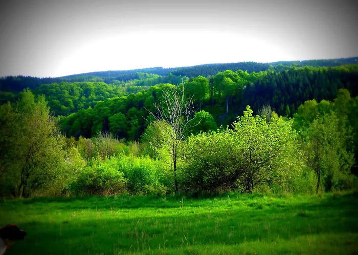 W Gorach Kolo Kudowy Zdroj * Lewin Klodzki