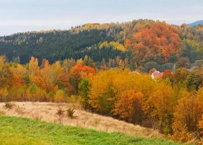 Ferienhaus W Gorach Kolo Kudowy Zdroj